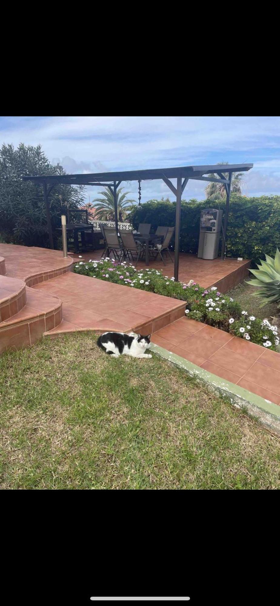 Alojamiento De Invitados Sauzal Luaran gambar