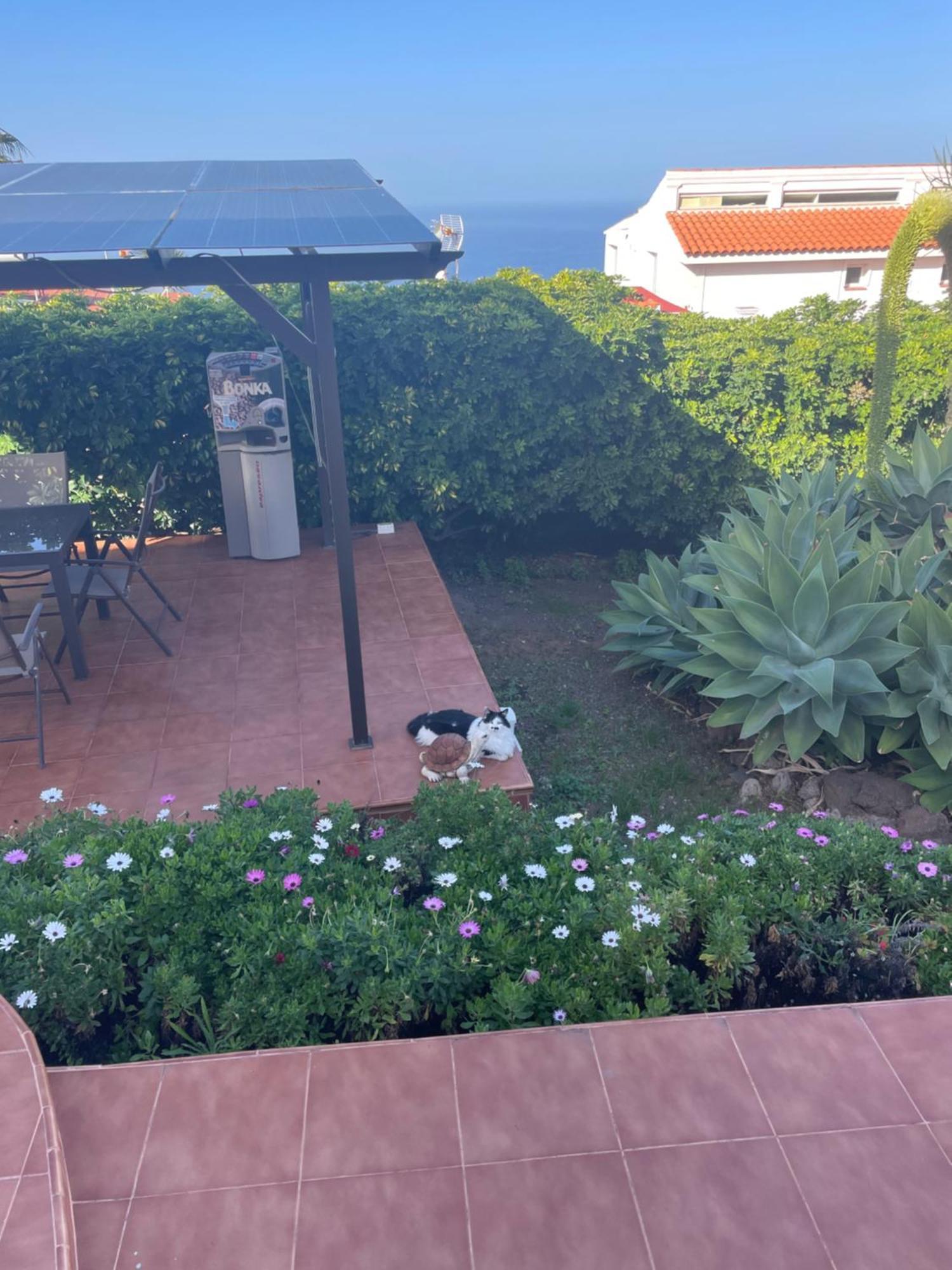 Alojamiento De Invitados Sauzal Luaran gambar